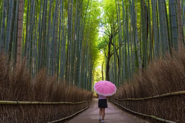 Fiatal nő esernyővel, bambusz erdő Sagano, Arashiyama, — Stock Fotó