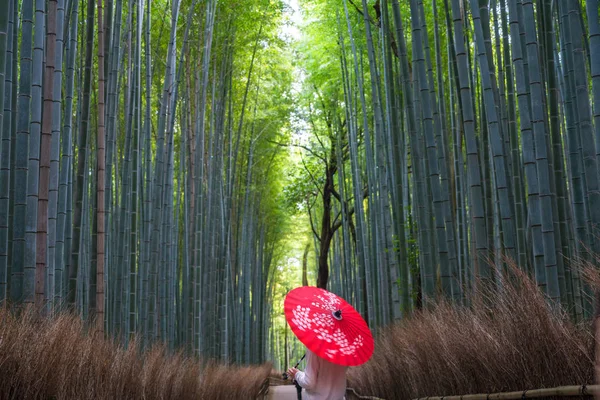 Fiatal Esernyővel Bambusz Erdő Sagano Arashiyama Kiotó Japán — Stock Fotó