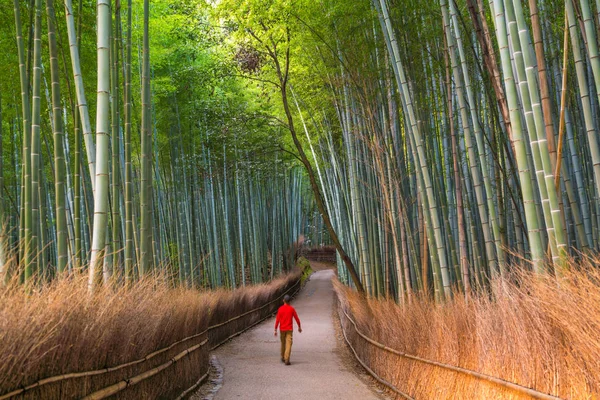 Ember Séta Bambusz Erdő Sagano Arashiyama Kyoto Japán — Stock Fotó