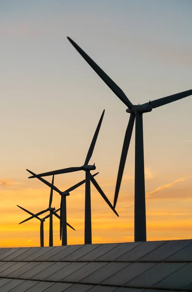 Rüzgar çiftliğinde rüzgar türbini ve güneş panelleri enerji üretenler