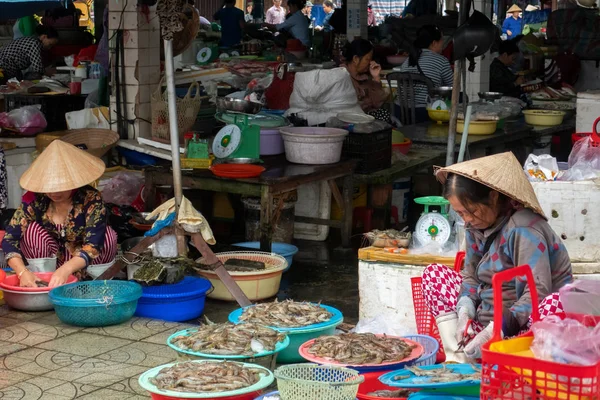 Hoi An balık pazarı, Vietnam
