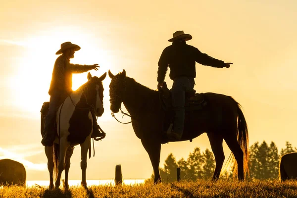 Cowboys em cavalos ao nascer do sol, British Colombia, Canadá — Fotografia de Stock