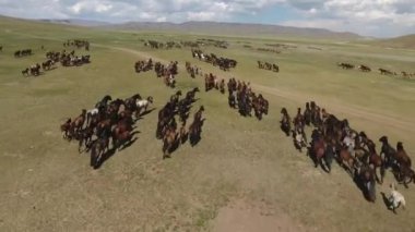 Efsanevi at sürüsü Moğolistan 'ın uçsuz bucaksız bozkırlarında dört nala koşuyor.