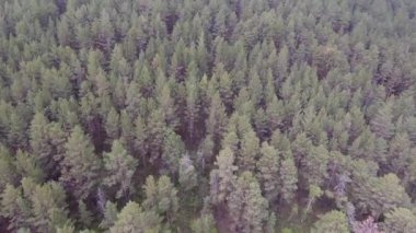 Moğol ormanı üzerinde hava aracı vuruldu.