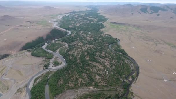 Aereo Drone Colpo Fiume Mongolia Alta Quota Giornata Nuvolosa — Video Stock