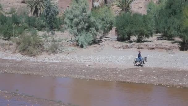 Homem Montando Burro Longo Rio Ait Ben Haddou Província Ouarzazate — Vídeo de Stock