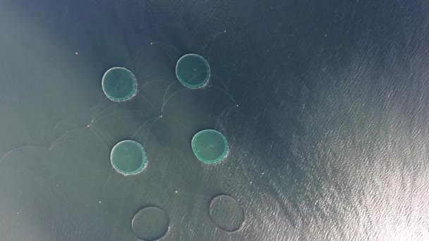 Aerial Drone Shot Fishnets Aquafarming Iceland High Altitude Shadow Clouds — Stock Video