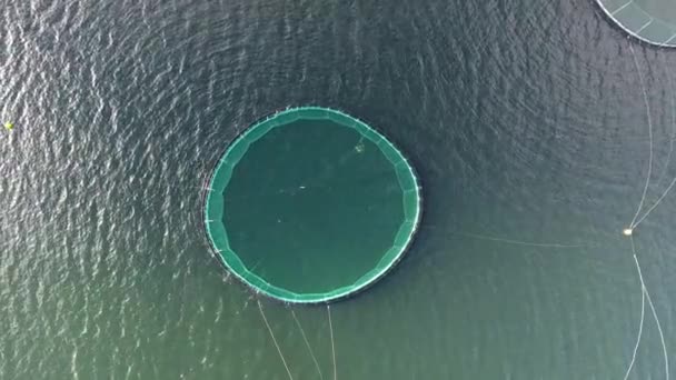 Drone Aérien Filet Pêche Islande Aquafarming Jour Ensoleillé Vue Verticale — Video