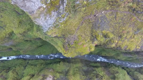 Três Ovelhas Andando Beira Desfiladeiro Com Rio Islândia Vista Vertical — Vídeo de Stock