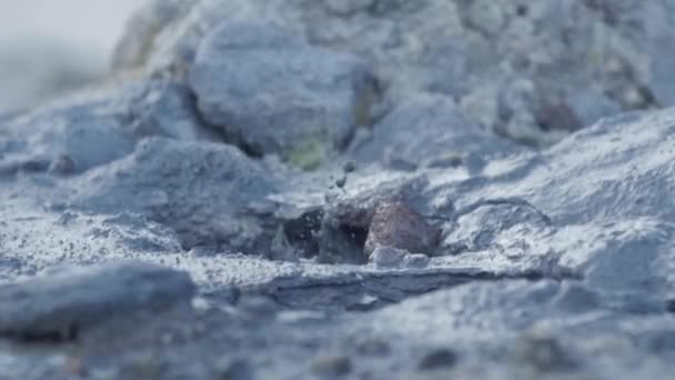 慢动作在冰岛沸腾的泥壶 — 图库视频影像