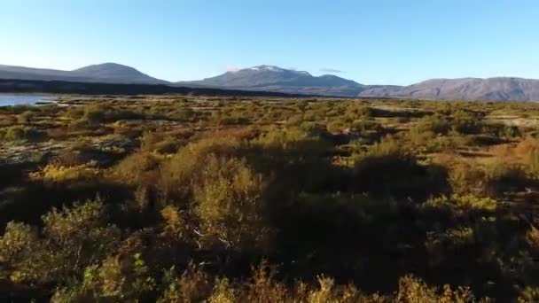 アイスランドで地質学的断層の上で空中ドローンが撮影されました 晴れた日の素晴らしい景色 — ストック動画