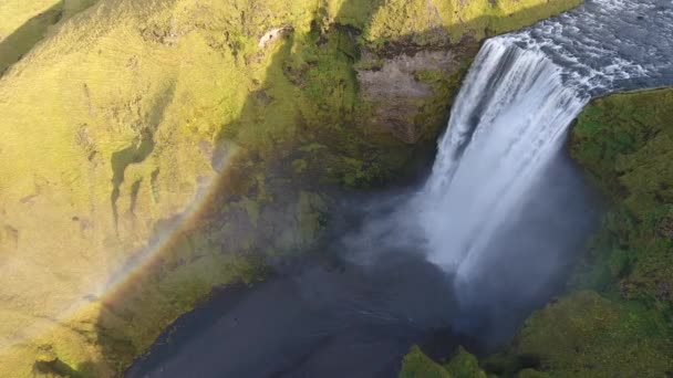 空中无人驾驶飞机在冰岛著名的Skogafoss瀑布上空盘旋 晴天中空飞行 — 图库视频影像