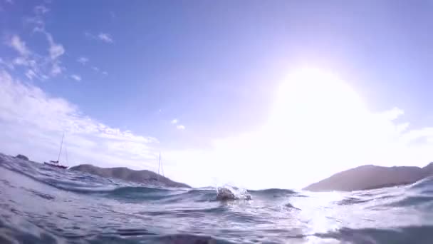 神奇的乌龟带着阳光在海里游泳 澳大利亚 — 图库视频影像