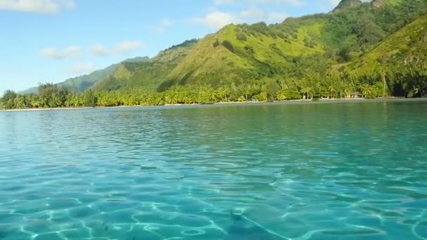 Krásná Čistá Voda Moorea Francouzská Polynésie Džunglí Pozadí Zastřelen Lodi — Stock video