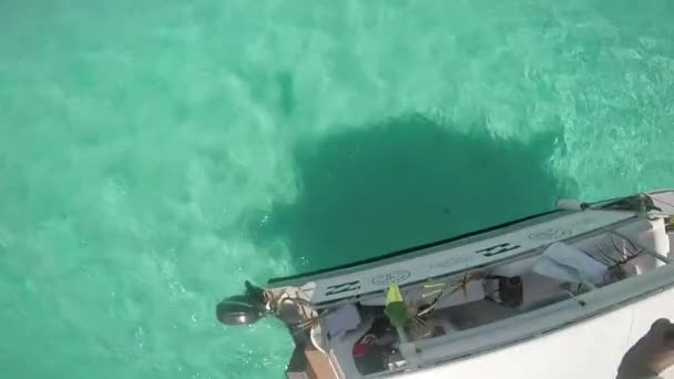 Primera vista de un hombre haciendo una voltereta frontal desde un barco. Polinesia Francesa, día soleado — Vídeos de Stock