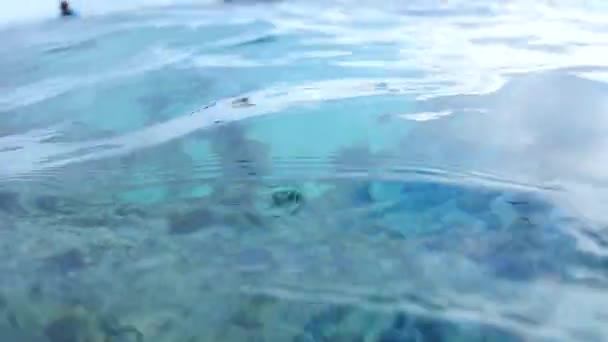 Superficie del agua en cámara lenta. Polinesia francesa moorea — Vídeo de stock