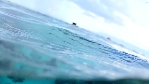 スローモーションで水中で撮影された男の後にケシや熱帯魚. — ストック動画