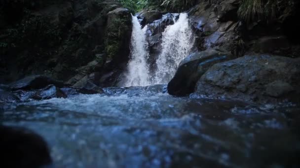Cachoeira Bonita Câmera Lenta Perto Seguindo Fluxo Água Martinica Dididier — Vídeo de Stock