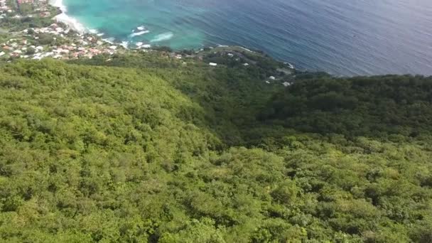 Plano Aéreo Descubrir Hermosa Playa Volar Sobre Los Árboles Martinica — Vídeos de Stock