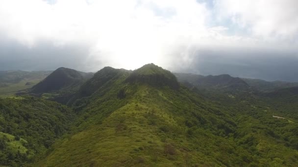 Aerial Drone Shot Montagne Pelee Urwisko Drzewa Martynice — Wideo stockowe