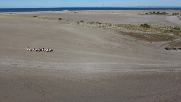 Un grupo de jinetes en una playa disparada por un dron, tarde soleada Francia. — Vídeos de Stock