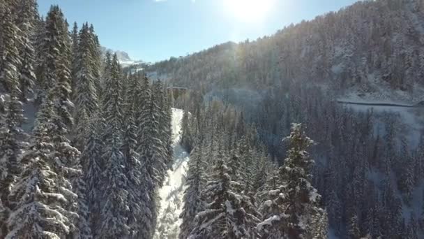 スキー場を背景に雪の森の道を飛んでいます 晴れた日のフランスアルプス ドローンビュー — ストック動画