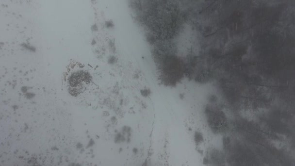 Vanuit Lucht Van Een Man Die Een Sneeuwstorm Loopt — Stockvideo