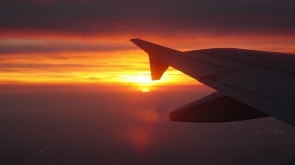 飛行機の日の出の窓のポイントは 翼の航空機を参照してください 場所パリ早朝 — ストック動画