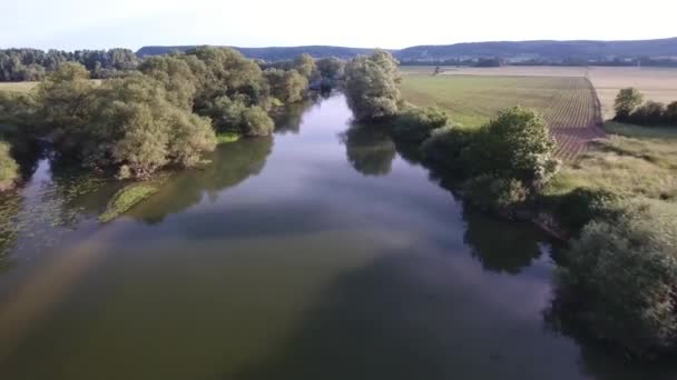 Flygskottet Flög Över Flod Och Följde Fåglar Frankrike Solig Dag — Stockvideo