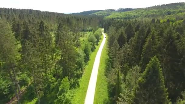 Droga Lesie Verdun Francja Widok Drona — Wideo stockowe