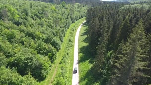 Drone Disparó Después Coche Trabajador Forestal Camino Bosque Verdún Francia — Vídeos de Stock