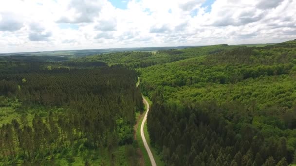 Lot Dronem Nad Ścieżką Leśną Lokalizacja Verdun France — Wideo stockowe