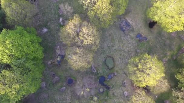 Dolu Bir Orman Kabuk Delikleri Üzerinde Uçmak Gün Batımı Verdun — Stok video