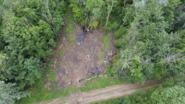 Verdun Ormanı 'ndaki orman işçileri, Lorraine, Fransa. Drone görünümü