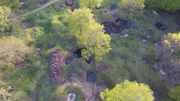 Drone Disparó Sobre Bosque Ww1 Agujeros Concha Llenos Agua — Vídeos de Stock