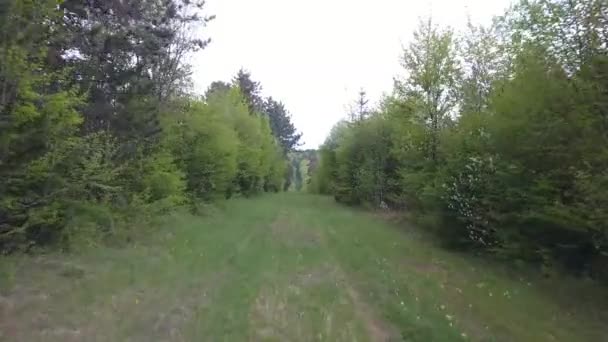 Drone Movimiento Rápido Bosque Verdún Francia — Vídeo de stock