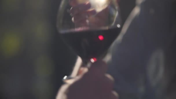 Paar greift und trinkt ein Glas Wein. Sonnenuntergang Frankreich. — Stockvideo