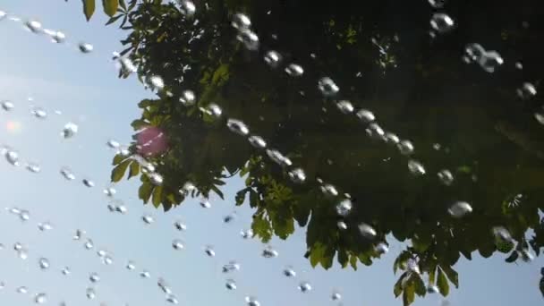 Wasserfontäne Zeitlupe Auf Einem Campingplatz Baum Hintergrund — Stockvideo