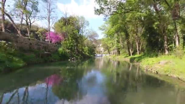 Lucht Zoomt Uit Een Rivier Met Bomen Eromheen Zonnige Dag — Stockvideo