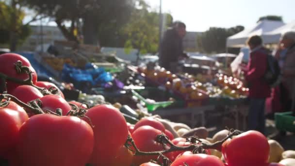 Místní trh čerstvá rajčata v popředí Balarac-les-bains — Stock video
