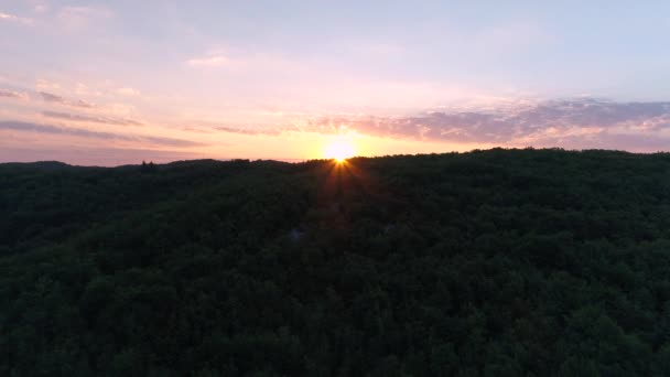 Dron Powietrzny Wschodzący Nad Lasem Francji — Wideo stockowe