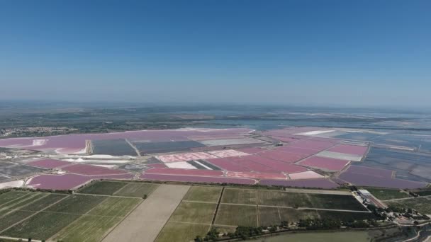 在法国坎费尔特的Aigues Mortes 从空中俯瞰盐场池塘 无人机玫瑰水 — 图库视频影像