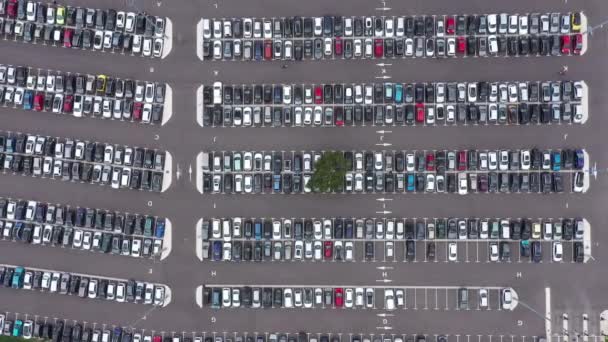 Bovenaanzicht Vanuit Lucht Een Parkeerplaats Met Één Boom Vol Auto — Stockvideo