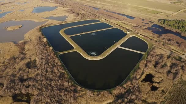 Water purification basin, recycling water along a swamp Vendres France Aerial — Stock Video