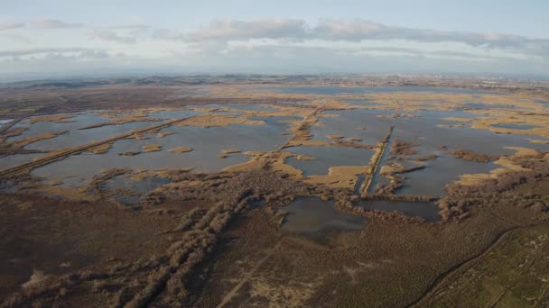 Área húmida pântano natural vista drone aéreo. Hora do pôr do sol Vendres pond França — Vídeo de Stock