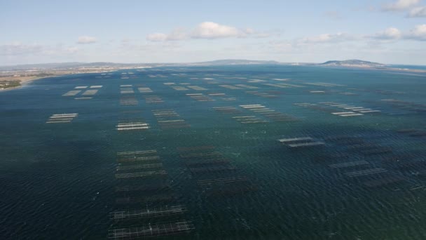 Flygfoto över oändliga ostron bäddar skaldjursodling i Bassin de Thau — Stockvideo
