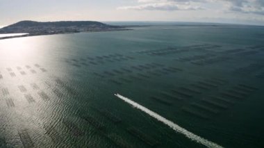 Etang de Thau 'da hızlı, küçük bir balıkçı teknesinden uyan.