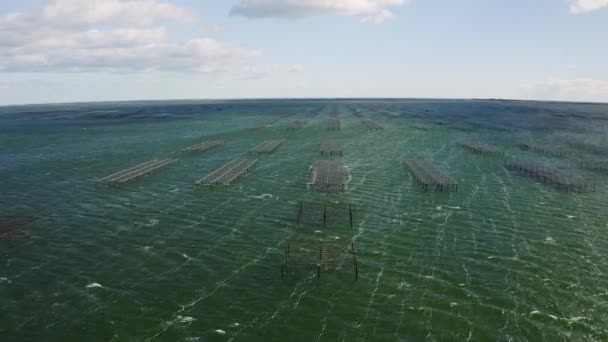 Flug über Austernbeete schwebte Kultur Etang de Thau windiger Tag — Stockvideo