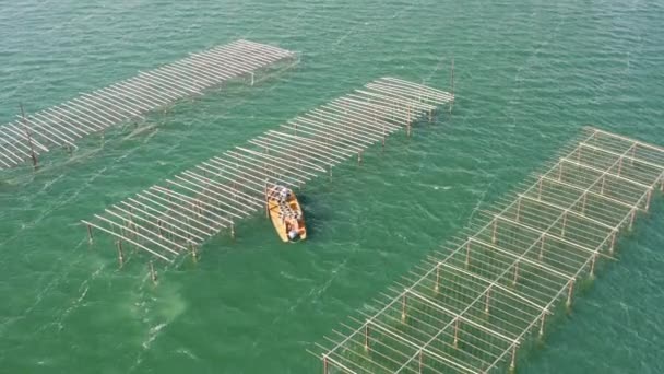 Cerca de la vista aérea distante sobre un barco de fondo plano ostra con los pescadores — Vídeo de stock