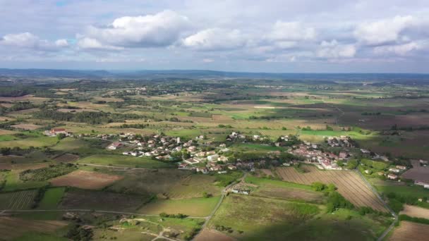 Hermoso Dron Aéreo Rural Disparado Sobre Los Viñedos Del Pueblo — Vídeo de stock